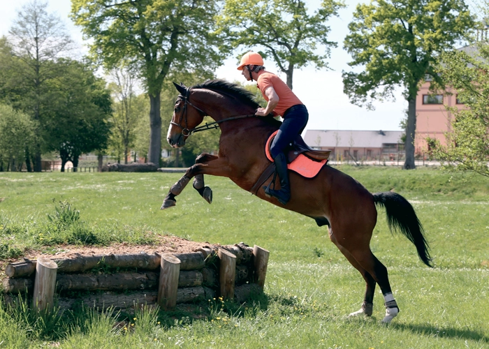 Compétitions équestre au Parc Équestre fédéral